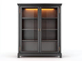 Vitrine 2 portes vitrées en bois et verre 120x40x180 cm - noir - éclairage LED